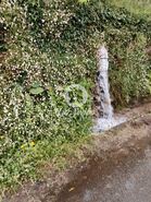 Terreno R�stico - Vilar da Veiga, Terras de Bouro, Braga - Miniatura: 9/15