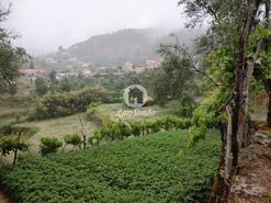 Terreno R�stico - Vilar da Veiga, Terras de Bouro, Braga - Miniatura: 10/15