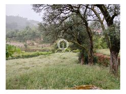 Terreno R�stico - Vilar da Veiga, Terras de Bouro, Braga - Miniatura: 12/15
