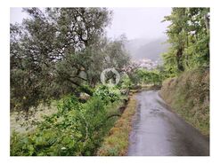 Terreno R�stico - Vilar da Veiga, Terras de Bouro, Braga - Miniatura: 13/15