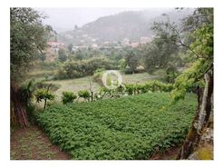 Terreno R�stico - Vilar da Veiga, Terras de Bouro, Braga - Miniatura: 14/15