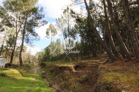 Terreno R�stico - Vale de Bouro, Celorico de Basto, Braga - Miniatura: 2/19