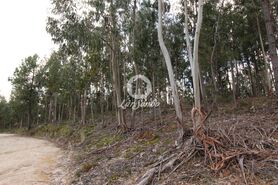 Terreno R�stico - Vale de Bouro, Celorico de Basto, Braga - Miniatura: 3/19