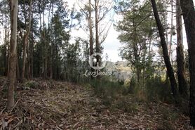 Terreno R�stico - Vale de Bouro, Celorico de Basto, Braga - Miniatura: 9/19