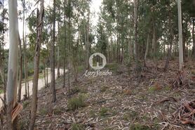 Terreno R�stico - Vale de Bouro, Celorico de Basto, Braga - Miniatura: 16/19