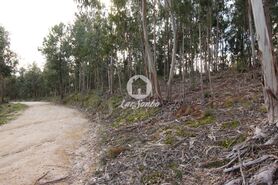 Terreno R�stico - Vale de Bouro, Celorico de Basto, Braga - Miniatura: 17/19