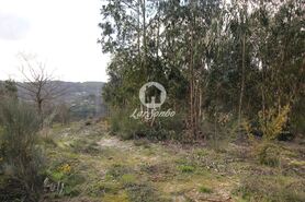 Terreno R�stico - Vale de Bouro, Celorico de Basto, Braga - Miniatura: 18/19