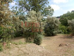 Terreno R�stico - S�o Cipriano, Viseu, Viseu