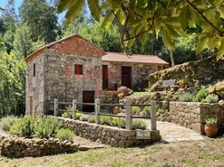 Ruina T2 - Espadanedo, Cinf�es, Viseu