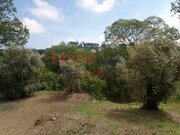 Terreno Rstico - So Cipriano, Viseu, Viseu - Miniatura: 1/9