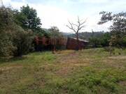 Terreno Rstico - So Cipriano, Viseu, Viseu - Miniatura: 3/9