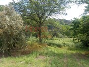 Terreno Rstico - So Cipriano, Viseu, Viseu - Miniatura: 9/9