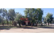 Armazm - Gavio, Gavio, Portalegre - Miniatura: 4/4