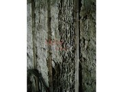 Moradia > T6 - Tel�es, Vila Pouca de Aguiar, Vila Real - Miniatura: 5/9