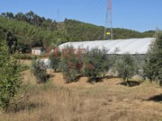 Terreno R�stico - Campo, Viseu, Viseu - Miniatura: 2/9