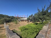Terreno R�stico - Campo, Viseu, Viseu - Miniatura: 3/9