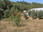 Terreno R�stico - Campo, Viseu, Viseu - Miniatura: 5/9