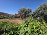 Terreno R�stico - Campo, Viseu, Viseu - Miniatura: 6/9