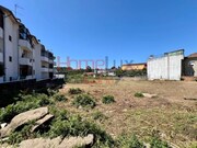Terreno R�stico - F�nzeres, Gondomar, Porto - Miniatura: 4/9