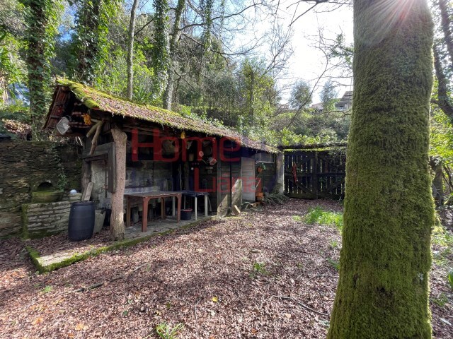 Terreno R�stico - Pinheiro da Bemposta, Oliveira de Azem�is, Aveiro - Imagem grande