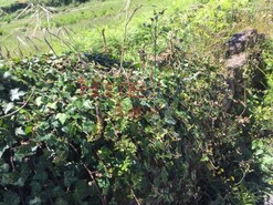 Outros - Oliveira de Azemeis, Oliveira de Azem�is, Aveiro