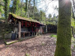 Terreno R�stico - Pinheiro da Bemposta, Oliveira de Azem�is, Aveiro