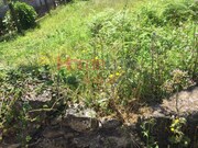 Outros - Oliveira de Azemeis, Oliveira de Azem�is, Aveiro - Miniatura: 2/5