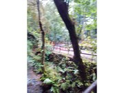 Outros - Oliveira de Azemeis, Oliveira de Azem�is, Aveiro - Miniatura: 4/5