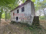 Quinta T3 - Germil, Penalva do Castelo, Viseu - Miniatura: 3/9
