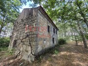 Quinta T3 - Germil, Penalva do Castelo, Viseu - Miniatura: 4/9
