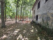 Quinta T3 - Germil, Penalva do Castelo, Viseu - Miniatura: 5/9