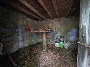 Quinta T3 - Germil, Penalva do Castelo, Viseu - Miniatura: 6/9