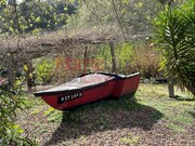 Terreno R�stico - Pinheiro da Bemposta, Oliveira de Azem�is, Aveiro - Miniatura: 1/9