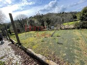 Terreno R�stico - Pinheiro da Bemposta, Oliveira de Azem�is, Aveiro - Miniatura: 2/9