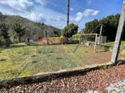 Terreno R�stico - Pinheiro da Bemposta, Oliveira de Azem�is, Aveiro - Miniatura: 3/9