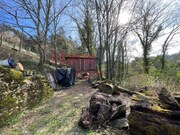 Terreno R�stico - Pinheiro da Bemposta, Oliveira de Azem�is, Aveiro - Miniatura: 4/9