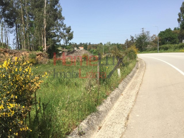 Terreno Rústico - Oliveira de Azemeis, Oliveira de Azeméis, Aveiro - Imagem grande