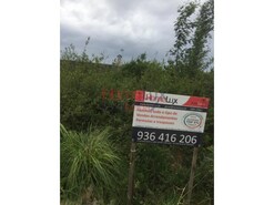 Outros - Pinheiro da Bemposta, Oliveira de Azem�is, Aveiro