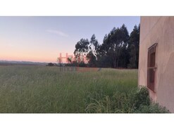 Quinta T2 - V�lega, Ovar, Aveiro