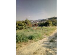Terreno Urbano - Cepes, Lamego, Viseu