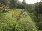 Outros - Pinheiro da Bemposta, Oliveira de Azem�is, Aveiro - Miniatura: 1/9