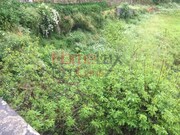 Outros - Pinheiro da Bemposta, Oliveira de Azem�is, Aveiro - Miniatura: 3/9