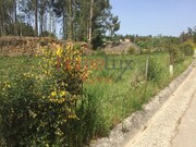 Outros - Pinheiro da Bemposta, Oliveira de Azem�is, Aveiro - Miniatura: 6/9