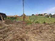 Outros - Pinheiro da Bemposta, Oliveira de Azem�is, Aveiro - Miniatura: 8/9