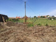 Outros - Pinheiro da Bemposta, Oliveira de Azem�is, Aveiro - Miniatura: 9/9