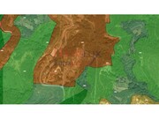 Terreno Rstico - Pessegueiro do Vouga, Sever do Vouga, Aveiro - Miniatura: 7/9