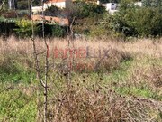 Moradia T3 - Branca, Albergaria-a-Velha, Aveiro - Miniatura: 6/9