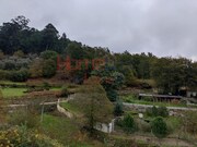Terreno R�stico - Castro Daire, Castro Daire, Viseu - Miniatura: 1/9