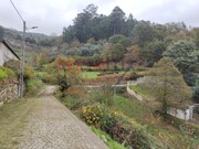Terreno R�stico - Castro Daire, Castro Daire, Viseu - Miniatura: 2/9