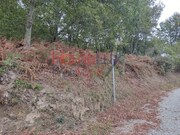 Terreno R�stico - Castro Daire, Castro Daire, Viseu - Miniatura: 3/9